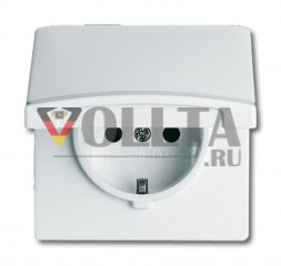 Busch-Jaeger 20EUGK-34-101 серия:Allwetter44 SCHUKO Наружная розетка 16А, откидная крышка, цвет: альпийский белый