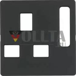 Berker 3313076086 Центральная часть для розеток, британский стандарт, переключаемая, антрацит, включая Berker