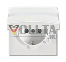 Busch-Jaeger 20 EUGKBN-34-101 Вставка для розетки SCHUKO®, с откидной крышкой и полем для надписи, альпийский белый