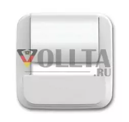 Busch-Jaeger 6477-214 Центральная пластина для Busch-powerDock альпийский белый