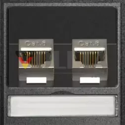Модуль EVOline 2 x RJ45 CAT6 / запасная часть