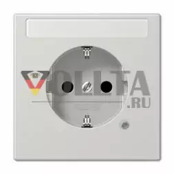 Jung LS520NAKOLG LS990 SCHUKO-розетка  16А, цвет: светло серый
