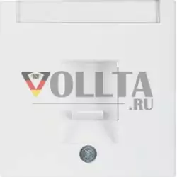 Berker 11701909 Центральная часть с пылезащитным слайдером и полем для надписи полярно-белый матовый Berker