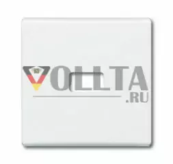 Busch-Jaeger 2120-34 серия:Allwetter44 выключатель света/датчик крышка, цвет: альпийский белый