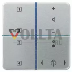 Jung RANCD514TSPT CD500 клавишный блок с Radio цвет: платина