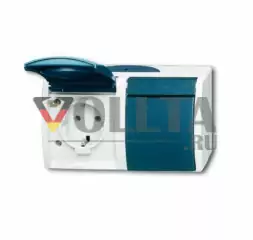 Busch-Jaeger 20/2EW-53 Ocean SCHUKO-розетка цвет:серый