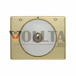 Berker 10790502 Arsys Жалюзи-панель переключателя с замком крышка, цвет:золотой