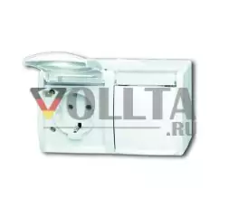 Розетка Busch-Jaeger 20/2 EWN-54 SCHUKO®, 2-контактная, альпийский белый