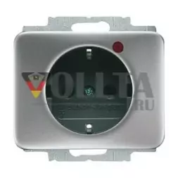 Busch-Jaeger 2310EUGL/VA-266-11 Busch-Protector® SCHUKO® вставка для розетки, с защитой от перенапряжения, титан
