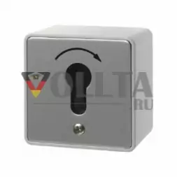 Berker 4448 Druckguss      IP44 Schlusseltaster 16А,  для накладной, для наружного монтажа цвет: алюминевый