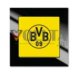 Busch-Jaeger 2000/6 UJ/01 Переключатель вентилятора Borussia Dortmund, включение и выключение