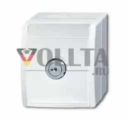 Busch-Jaeger 20EWSL-101-54 Ocean SCHUKO-розетка цвет: альпийский белый