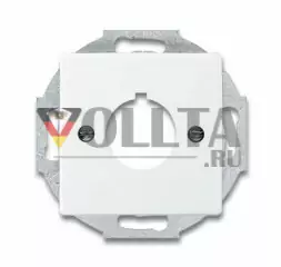 Busch-Jaeger 2533-84 Future linear, Устройства управления/Крышка для установки специальных изделий крышка, цвет: белый