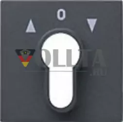 Gira 066428 System55 панель переключателя с замком крышка, цвет:антрацит