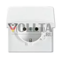 Busch-Jaeger 20 EUGK-34-101 розетка SCHUKO®, с откидной крышкой, альпийский белый
