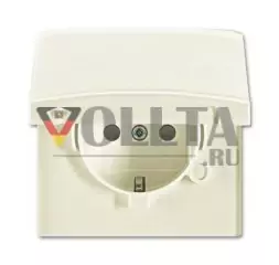 Busch-Jaeger 20 EUGKB-32-101 розетка SCHUKO®, с откидной крышкой, белая