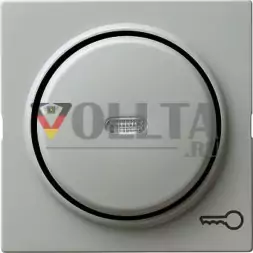 Gira 028742 S-Color крышка, освещаемая, c символом дверь цвет:серый, тон:глянец