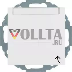 Berker 47461909 Розетка SCHUKO с откидной крышкой и полем для надписи полярно-белый матовый Berker S.1