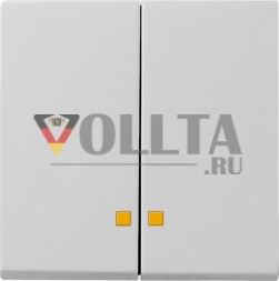 Gira 0631015 2-позиционный регулятор Sys 55 серый клавишный переключатель