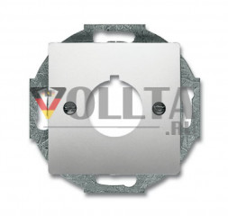 Busch-Jaeger 2533-866 Pur Edelstahl Устройства управления/Крышка для установки специальных изделий крышка,
