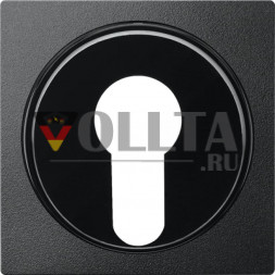 Merten 318114 System M панель переключателя с замком крышка, цвет:антрацит, тон: матовый
