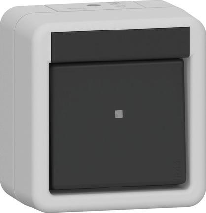 Gira 310630 AusWe WG AP gr клавишный выключатель
