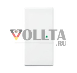 Переключатель клавишный Busch-Jaeger 6230-20-914, 2-позиционный, левый/правый, без печати, альпийский белый