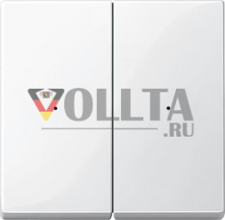 Schneider серия: Merten 506219 System M Переключатель радио, CONNECT, крышка, цвет:полярная белизна, тон:глянец