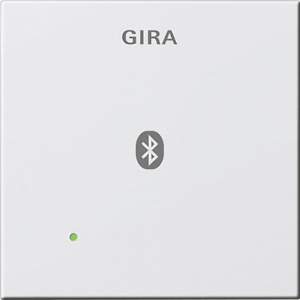 Gira 228803 System55 Заглушка,  для вставки док-станции, цвет:чисто белый, тон:глянец