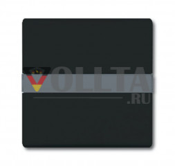 Busch-Jaeger 2106N-35 серия:Allwetter44 выключатель света/датчик крышка, цвет:антрацит