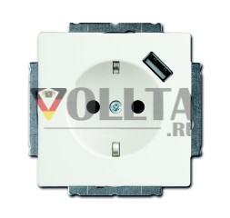 Busch-Jaeger 20 EUCBUSB-884 USB-розетка SCHUKO®, с повышенной защитой от контактов, студийно-белый матовый