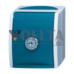 Busch-Jaeger 20 EWSL-53 SCHUKO® розетка серая/сине-зеленая