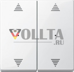 Schneider серия: Merten 619719 System M Клавиша для модуля, двойная, клавиша цвет:полярная белизна, тон:глянец