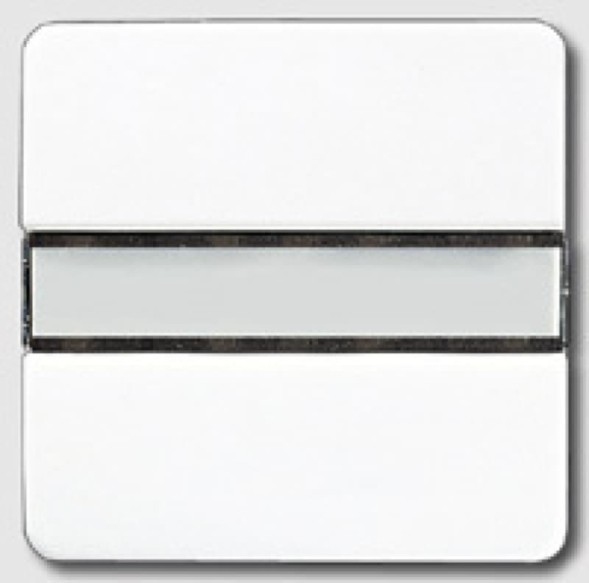 Jung CD2091NABSLG CD500 KNX сенсорный 1-я, цвет: светло серый