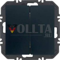 Berker 24121636 FoH Bx 2-канальный антрацитовый с радиокнопкой