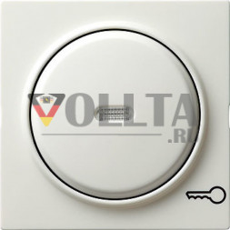 Gira 028740 S-Color крышка, освещаемая, c символом  дверь цвет:чисто белый, тон:глянец