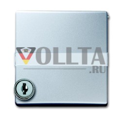 Промежуточное кольцо Busch-Jaeger 2118 GKSLN-33 с откидной крышкой, запираемое, разное запирание, алюминий серебристый