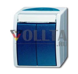 Busch-Jaeger 2621 WN-53-205-101 двойная кнопка/последовательная кнопка, 2 замыкающих контакта, 1-полюсный (рабочий ток) серый/сине-зеленый