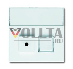 Busch-Jaeger 1572 CN-84 центральная пластина, 2-х полосная, с полем для этикетки студийно-белый