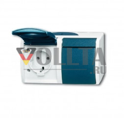 Busch-Jaeger 20/2EW-53 Ocean SCHUKO-розетка цвет:серый