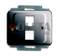 Busch-Jaeger 2561-02-20 Центральная пластина, с опорным кольцом платина