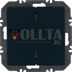 Berker 24126036 FoH Qx 2-канальный антрацитовый с радиокнопкой