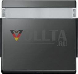 Merten 343914 Aquadesign выключатель света/датчик крышка, цвет:антрацит