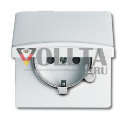 Busch-Jaeger 20EUGKB-34-101 серия:Allwetter44 SCHUKO розетка 16А, IP44защита от детей цвет: альпийский белый