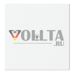Busch-Jaeger 2CKA006199A0078 LFBT/A.1.63.11-884 Tast.1-fmSymb.Bel. Cover