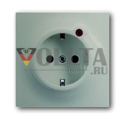 Busch-Jaeger 2310 EUGL/VA-79-11 Busch-Protector® SCHUKO® вставка для розетки, с защитой от перенапряжения, цвет шампанского металлик