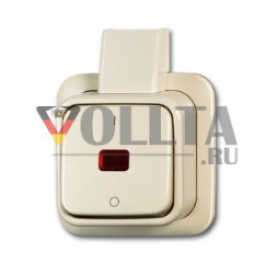 Busch-Jaeger 2601/2SKAP Duro2000 AP балансирный контрольный выключатель цвет: кремово-белый