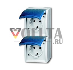 Busch-Jaeger 20-02 EW-53 розетка SCHUKO®, 2-контактная серая/сине-зеленая