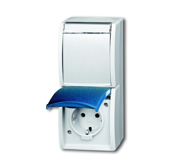 Busch-Jaeger 20-02 EWN-53 розетка SCHUKO®, 2-канальная серая/сине-зеленая