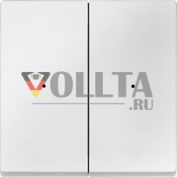 Schneider серия: Merten 625219 System M Клавиша для модуля, двойная, клавиша цвет:полярная белизна, тон: матовый